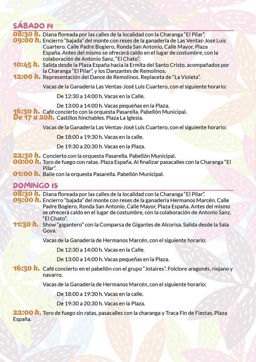 Programa Remolinos 2025