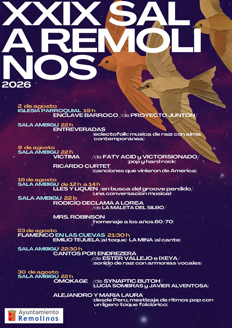 XXIX Sal a Remolinos